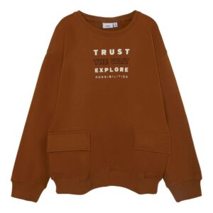 Køb Guppy - Drenge tween sweatshirt - Brun - Str. 146/152 online billigt tilbud rabat tøj