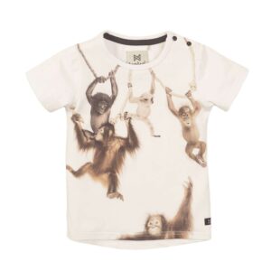 Køb Koko Noko - Drenge t-shirt m. aber - Hvid - Str. 86 online billigt tilbud rabat tøj