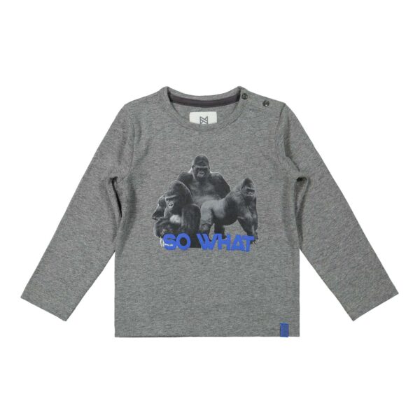 Køb Koko Noko - Langærmet drenge T-shirt - Koksgrå - Str. 104 online billigt tilbud rabat tøj