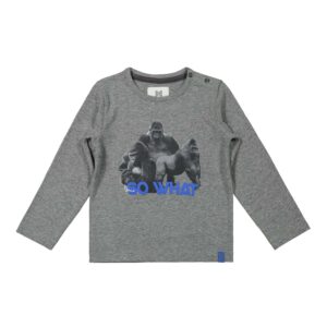Køb Koko Noko - Langærmet drenge T-shirt - Koksgrå - Str. 116 online billigt tilbud rabat tøj