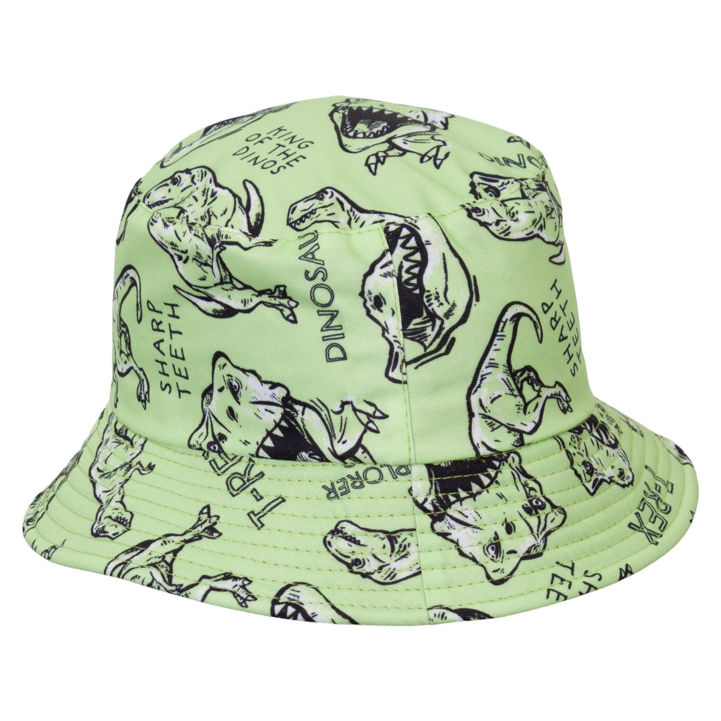 Køb Drenge Bøllehat - Dino - 54 online billigt tilbud rabat tøj