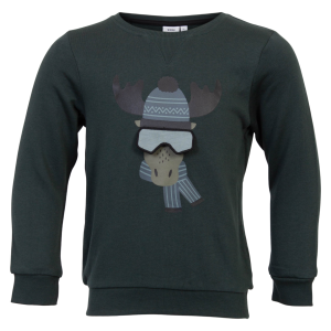 Køb Guppy Renzo Drenge Sweatshirt - Green Gables - 92 online billigt tilbud rabat tøj