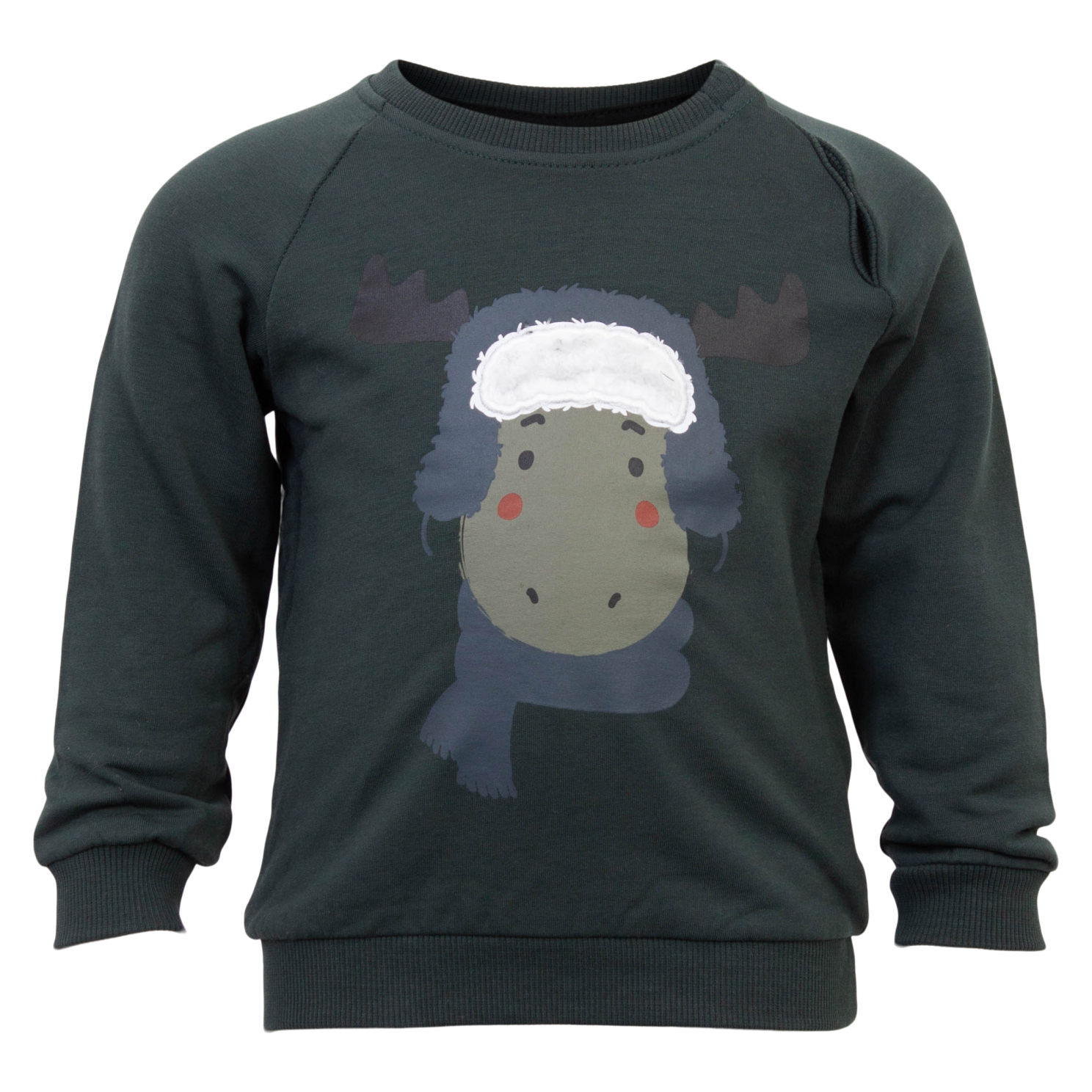 Køb Guppy Ryland Baby Sweatshirt - Green Gables - 56 online billigt tilbud rabat tøj