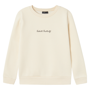 Køb LMTD NLNTIATE Børne Sweatshirt - Turtledove - 158/164 online billigt tilbud rabat tøj