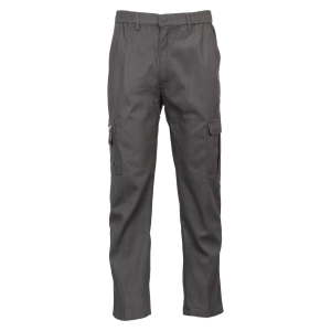 Køb Lanzans Herre Cargobukser - Grey - M online billigt tilbud rabat tøj