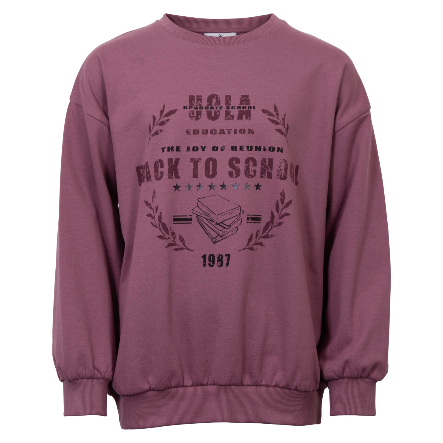 Køb Queenz Utah Pige Sweatshirt - Grape Nectar - 134/140 online billigt tilbud rabat tøj